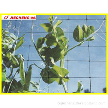 Bio Oriented Mesh Machine